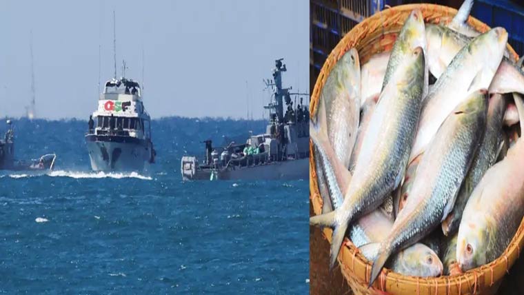 بنگلہ دیش :ہلسا مچھلی کی حفاظت کیلئے  جنگی جہاز اورپٹرول طیارے تعینات 