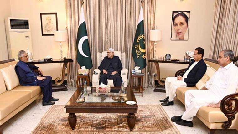 صدر زرداری سے حکومتی وفد کی ملاقا ت ، سیز فائر پر اتفاق 