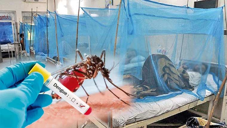 اسلام آباد :ڈینگی کے 40نئے کیسز ، انتظامیہ انسد اد کیلئے متحرک