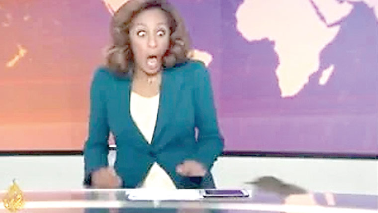 چوہے نے لائیو خبریں پڑھتی خاتون اینکر کی دوڑ لگوا دی 