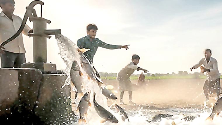 بھارتی گاؤں کے نلکوں،ٹیوب ویلوں سے مچھلیاں نکلنے لگیں