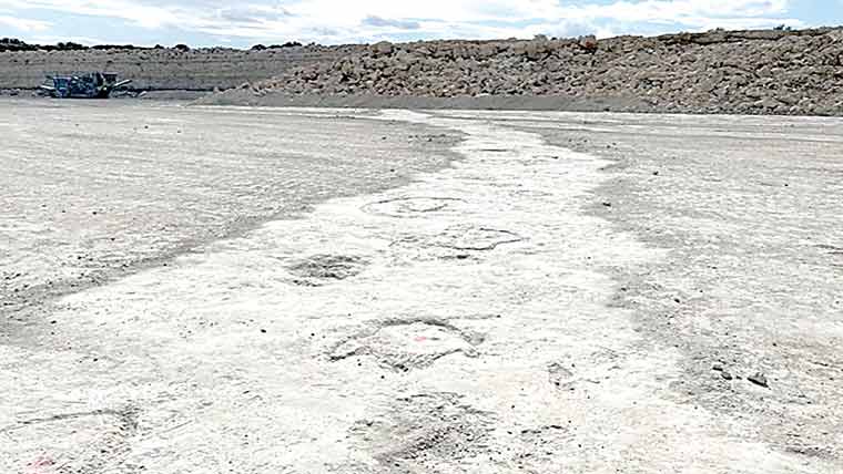 برطانیہ:ڈائنو سار کے قدموں کی سب سے بڑی دریافت