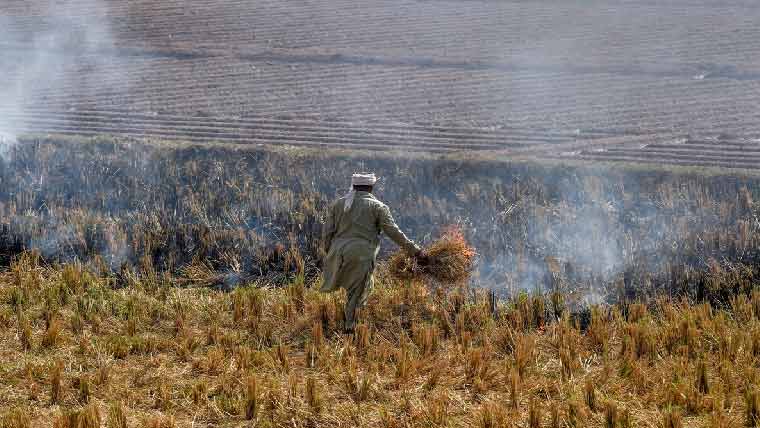 تتلے عالی :گندم کو آگ لگانے  کے واقعہ کا6ماہ بعد مقدمہ درج