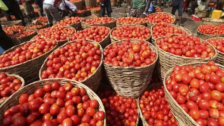پاکستان:-ٹماٹر کی قیمتوں میں کمی کلو250 روپے تک آگیا