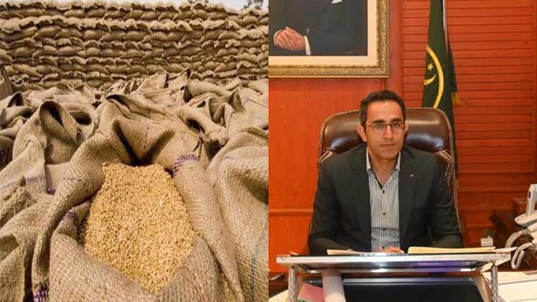  غیر قانونی ذخیرہ 49 ہزار  600 تھیلے گندم برآمد،گودام سیل 