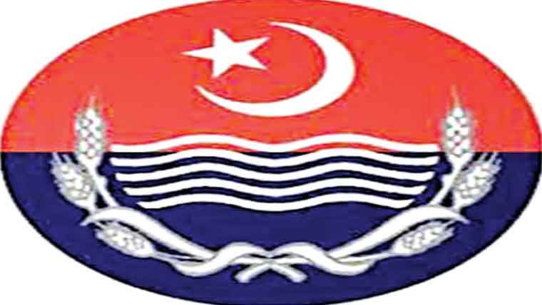 رینک لگانے کی تقریب 