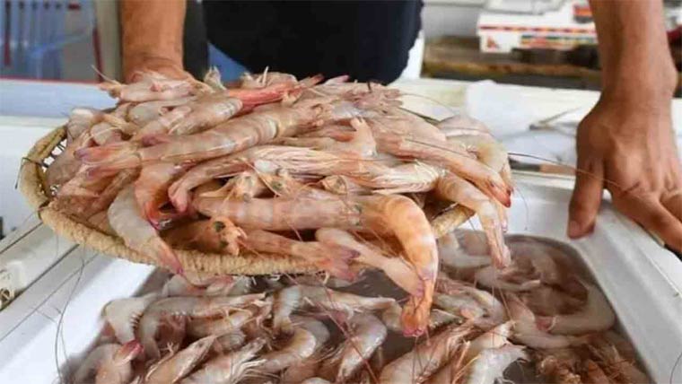 پنجاپ کے پہلے جھینگا فارمنگ پراجیکٹ پر کام جون تک مکمل کرنیکا ہدف مقرر