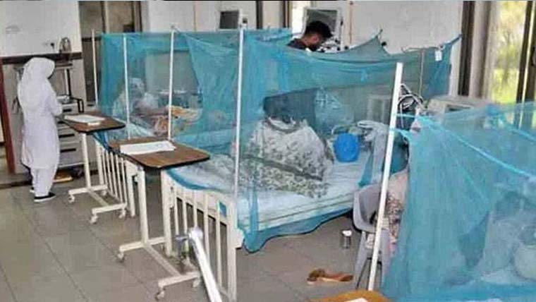 نیو سعیدآباد میں ملیریا کے مزید 17 کیس رپورٹ، تعداد 37 ہوگئی