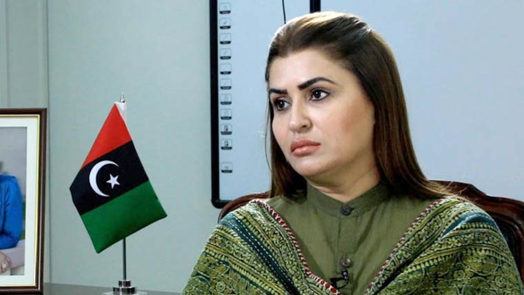  28ویں ترمیم قیاس آرائی ، NFCپر کٹ لگنے نہیں دینگے :پی پی  