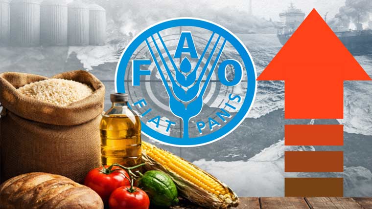  جنگ کے باعث دنیا بھر میں خوراک کی قیمتوں میں اضافہ ہوا :اقوام متحدہ