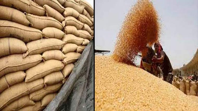 گندم خریداری میں تاخیرکسانوں کو نفصان کا خدشہ