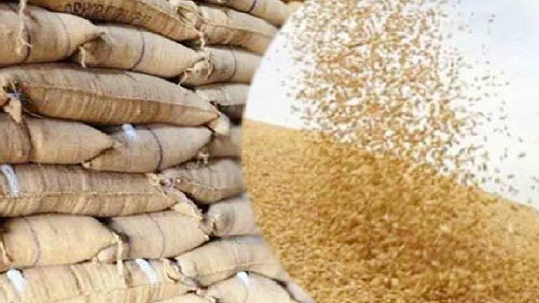 گندم کی خرید و ذخیرہ کیلئے پاسکو ختم ، نئی کمپنی قائم کرنیکا فیصلہ
