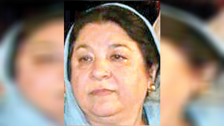  9 مئی کیسز:ضمانت پر سماعت ملتوی 