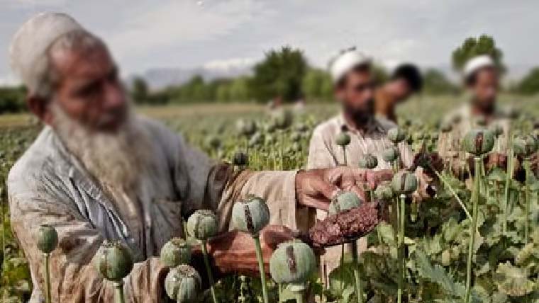  افغانستان سے منشیات سمگلنگ میں خطرناک حد تک اضافہ  