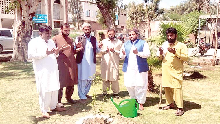 ڈیپ کلین پروگرام کے تحت شجرکاری مہم کا آغاز