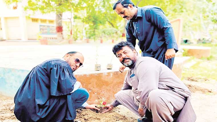 گورنمنٹ شہدا ئے اے پی ایس سکول میں شجر کاری مہم