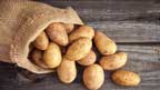 روس نے آلو کی درآمد پر عائد پابندی ختم کر دی