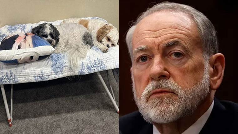 ایران جنگ:اسرائیل میں امریکی  سفیر نے 6ہفتے کمانڈ سنٹر میں  2 کتوں کیساتھ گزارے