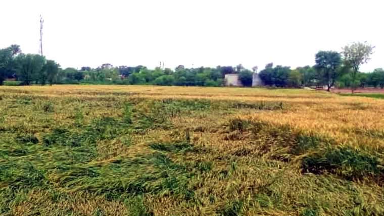 ژالہ باری سے متاثرہ زمینداروں کو ریلیف دینے کا فیصلہ