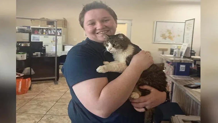 امریکہ میں 5سال سے گمشدہ بلی خاندان کو مل گئی