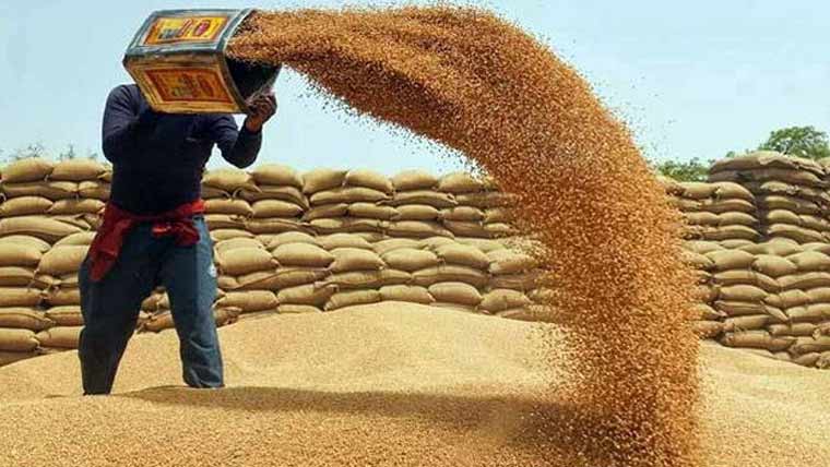 گندم 35 سوروپے من میں فروخت ہوگی خریداری مہم کے تمام تر انتظامات مکمل