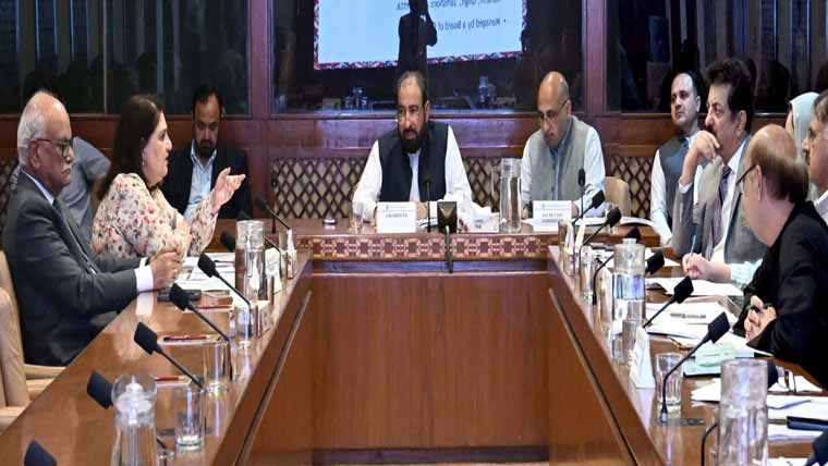 قائمہ کمیٹی قومی ورثہ:پی این سی اے بورڈ ممبرز کے سی وی طلب 