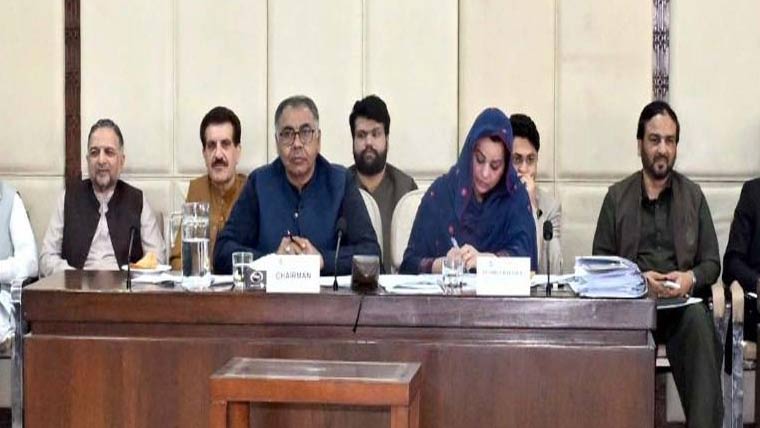 معاشی حالات بہتر نہ کیے تو کامیابیاں عارضی ،چیئرمین سینیٹ کمیٹی