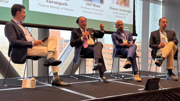 ملک میں شمسی توانائی 8000 میگاواٹ تک پہنچ گئی ، وزیر خزانہ