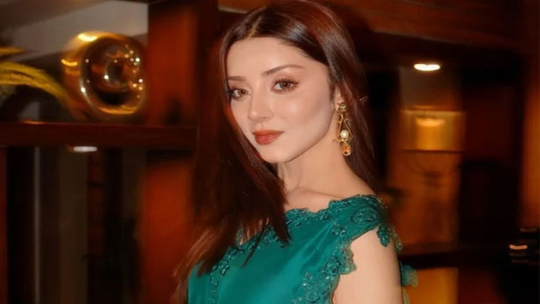 علیزے شاہ کا سوشل میڈیا صارف  کی غیر اخلاقی پیشکش کا انکشاف 