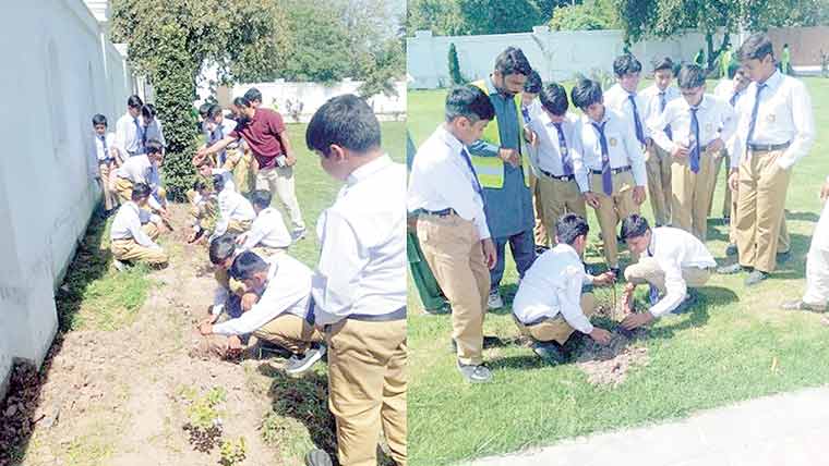  ڈپٹی کمشنر دفتر کے سبزہ زار میں  تعلیمی اداروں کے طلبہ کے ہمراہ  پودا لگا کر مہم کا عملی مظاہرہ کیا 