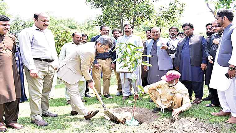 گورنمنٹ کالج یونیورسٹی میں شجرکاری مہم کا باقاعدہ آغاز 