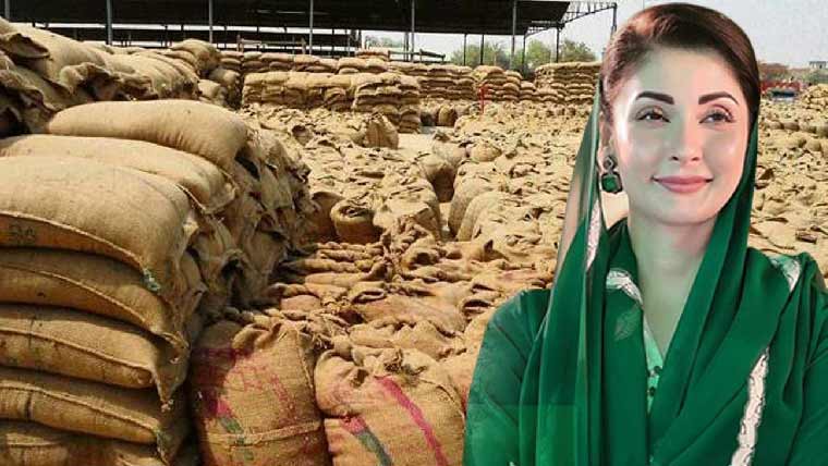 مریم  نواز  کا  کاشتکاروں  کو6ارب کا باردانہ  مفت  دینے  کا  اعلان