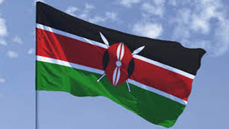 کینیا:قیمتی چیونٹیاں سمگل کرنیکی کوشش،چینی شہری کو1سال قید