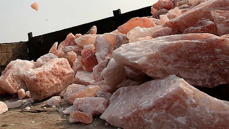 سالٹ ایکسپورٹرز اور کسٹمزکاٹھوس اقدامات پر اتفاق