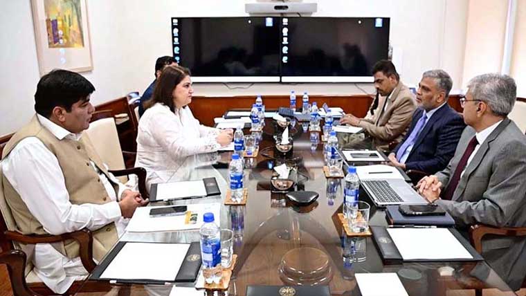 چیئرپرسن بی آئی ایس پی کی ڈپٹی گورنر اسٹیٹ بینک سے ملاقات