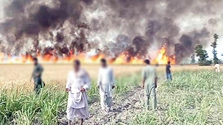 ٹرانسفارمر کی سپارکنگ سے  25 ایکڑ گندم کی فصل جل گئی