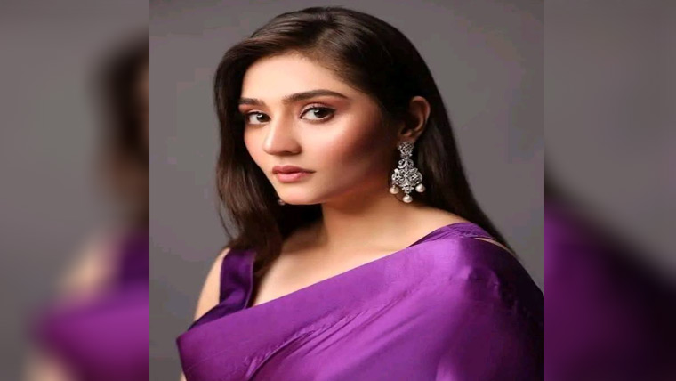 شوبز میں اچھے برے کیساتھ خود  کو منوانا پڑتا ہے :درفشاں سلیم