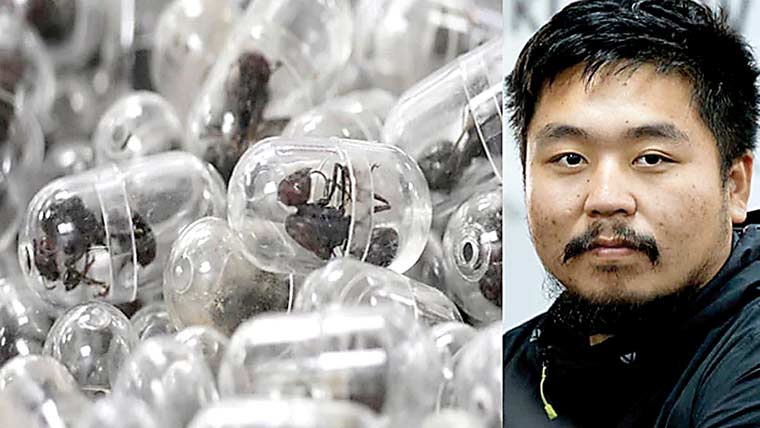 کینیا سے زندہ چیونٹیاں سمگل کرنیوالے چینی شہری کو سزا 