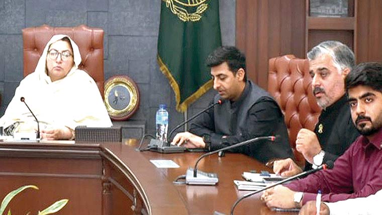 ترقیاتی منصوبوں میں تیزی، شفافیت یقینی بنائی جائے : کمشنر