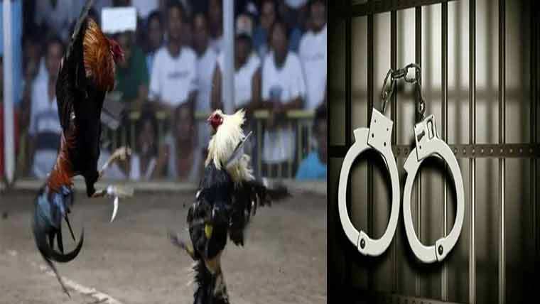 مرغے کی لڑائی کے دوران پولیس کا  چھاپہ، 8جواری گرفتار ‘40سے زائد فرار 