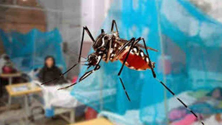 مچھروں کی بھرمار، صوبے میں ڈینگی کیسز رپورٹ 