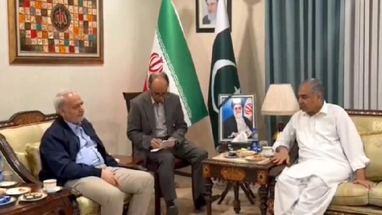 وزیرداخلہ امریکی سفارتخانے گئے ،نیٹلی بیکرنے کشیدگی کم کرنے کیلئے پاکستان کے کردار کو سراہا 