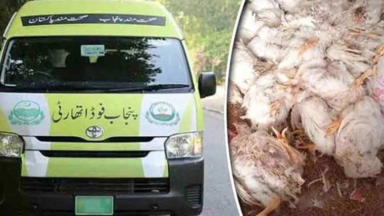 100من مردہ اور بدبودارمرغیاں تلف،گاڑی ضبط