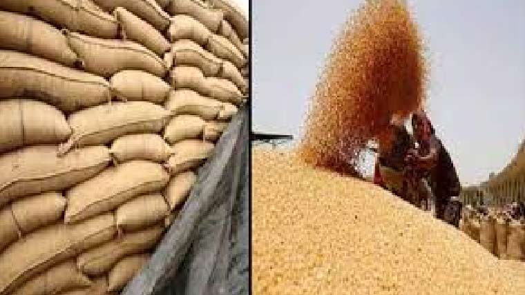 گندم کی خریداری کیلئے پنجاب میں ڈیجیٹل نظام کا اجرا