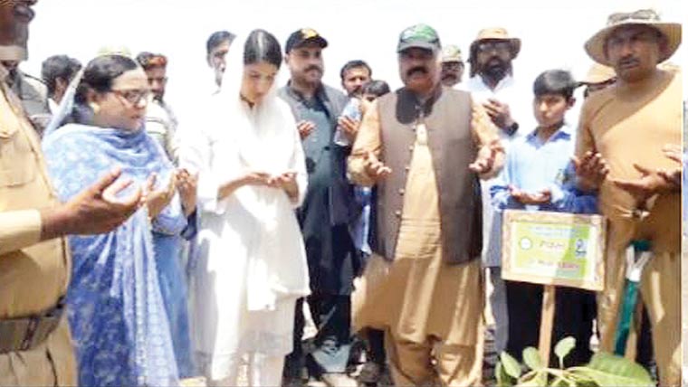 شورکوٹ :ماس افورسٹیشن مہم ، 1000 ایکڑ پر شجرکاری کا ہدف