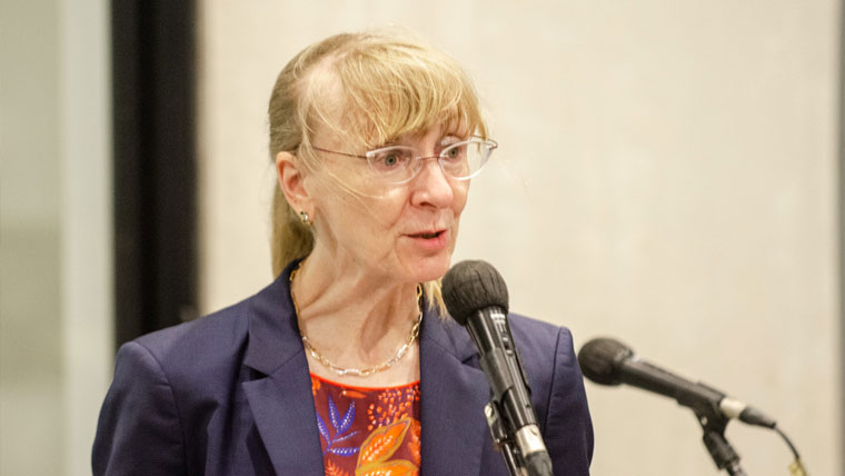 پاکستان میں ٹیکسیشن و ریگولیشن کے چیلنجز درپیش، اینا لیپل 