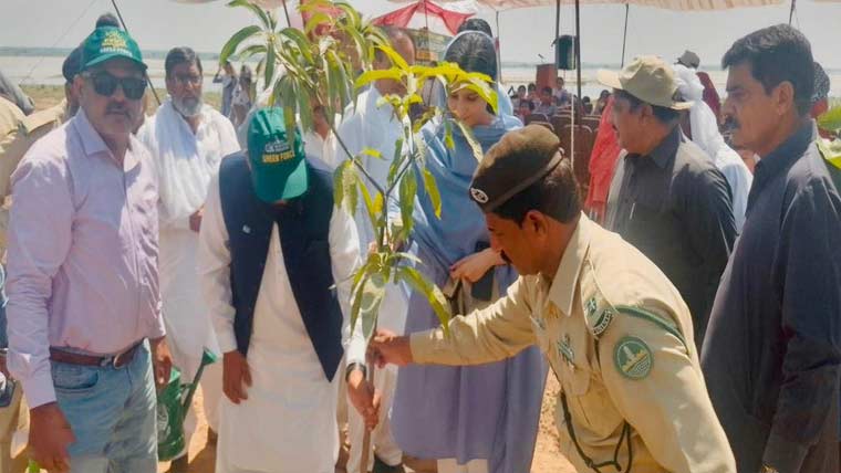 ڈپٹی کمشنر نورالعین نے دھول کالاں میں  شجرکاری مہم کے دوران پودے لگائے