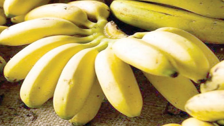 خالی پیٹ کیلا کھانا نقصان دہ،ماہرین نے خبردار کردیا