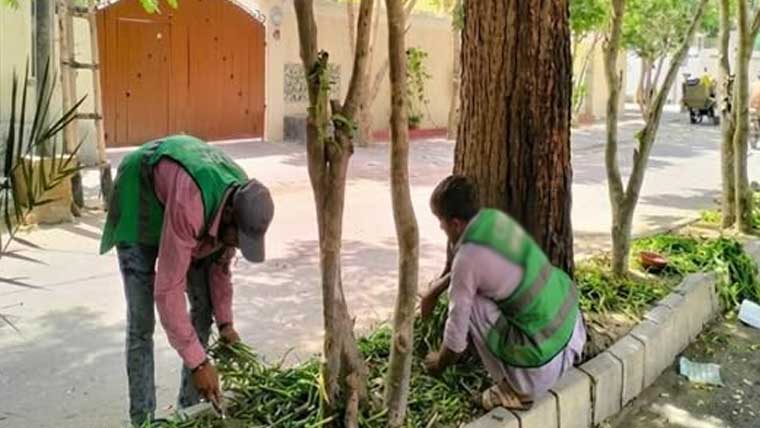 ملتان کو سرسبز بنانے کا منصوبہ، گرین بیلٹس، پارکس کی تزئین 