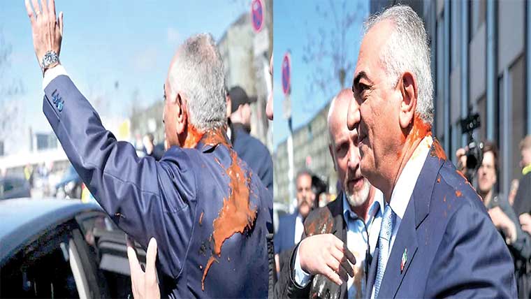 جرمنی :امریکی حملوں کے حامی رضاپہلوی پر کیچپ حملہ